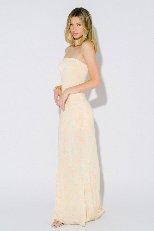 Sunlit Parlor Tube Maxi Dress
