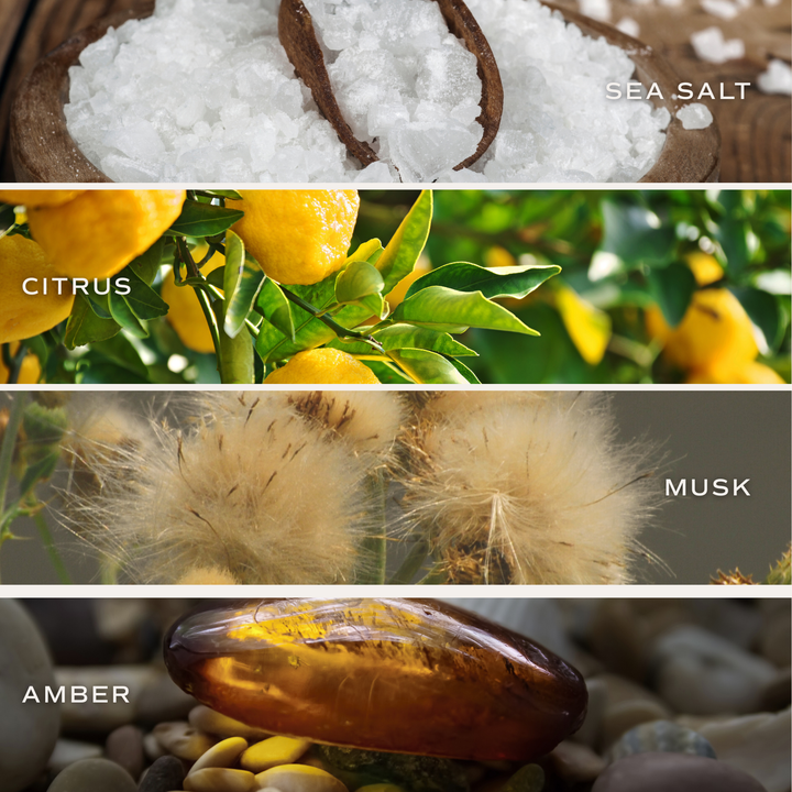 Salt and Sea Reed Diffuser