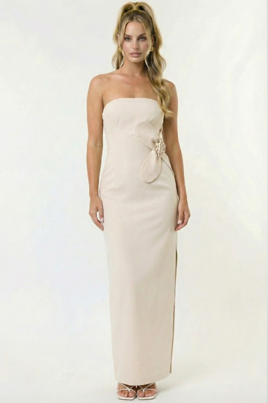 Beauty In Bloom Tube Maxi Dress