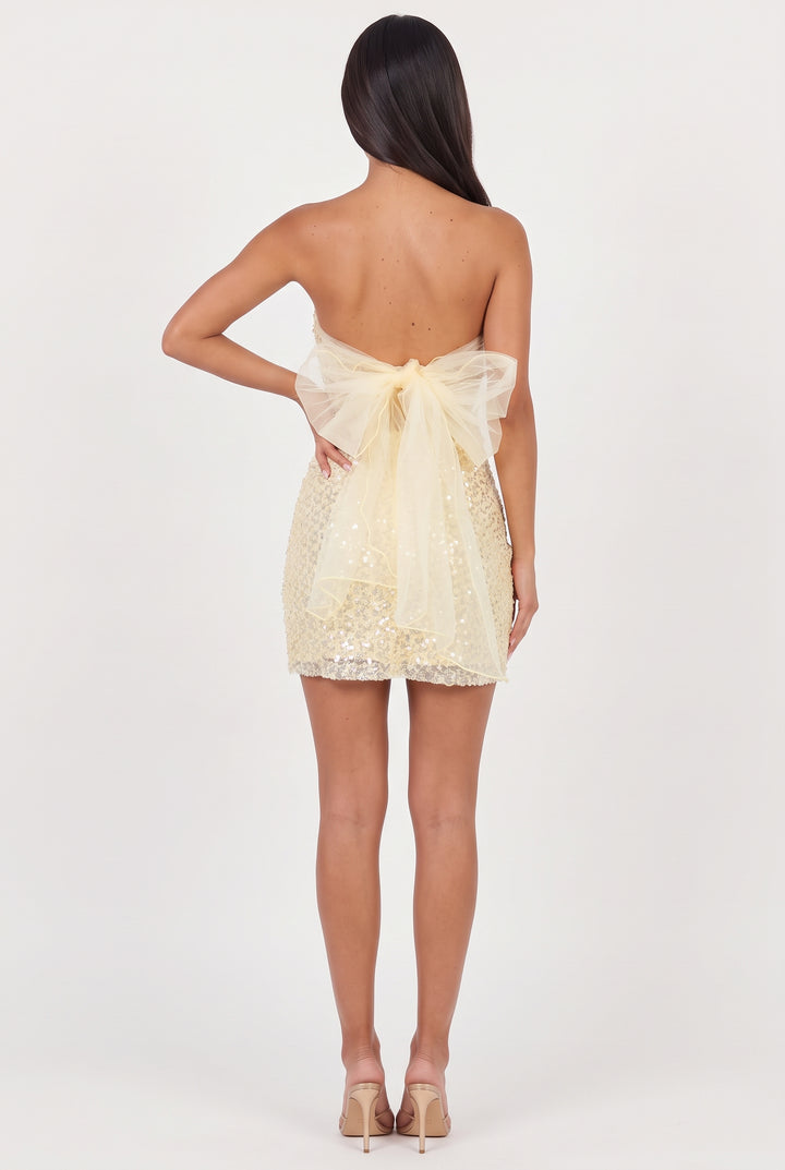 Curtain Call Sequin Mini Dress
