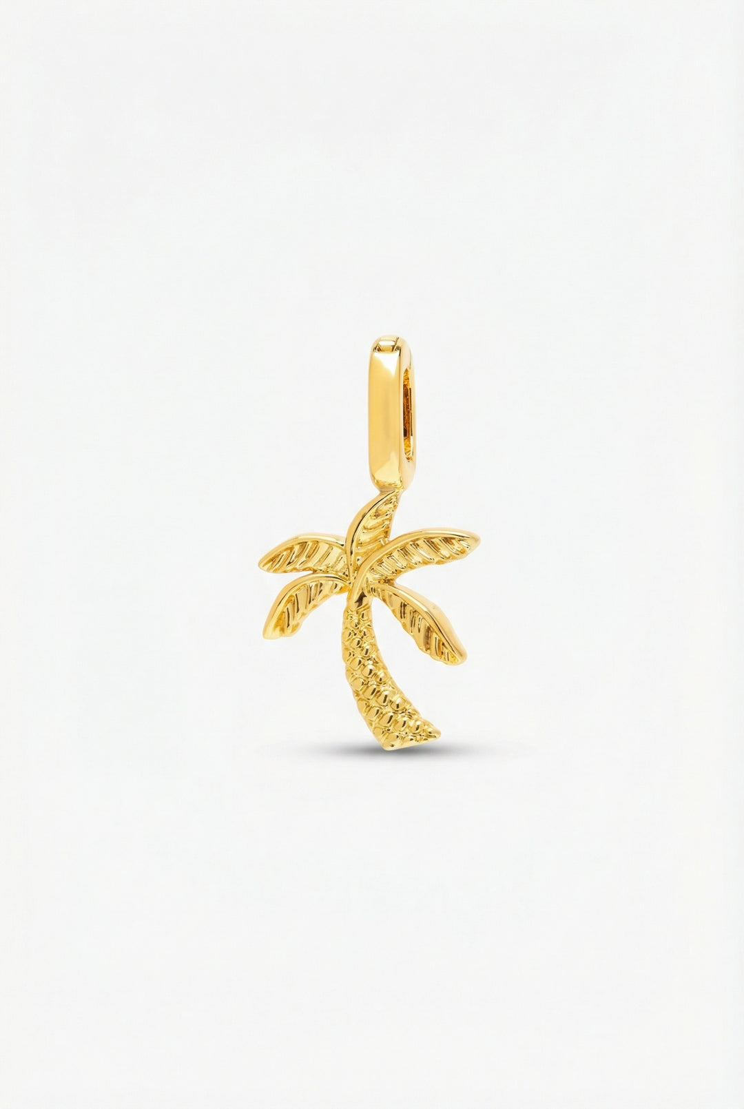 Palm State Charm