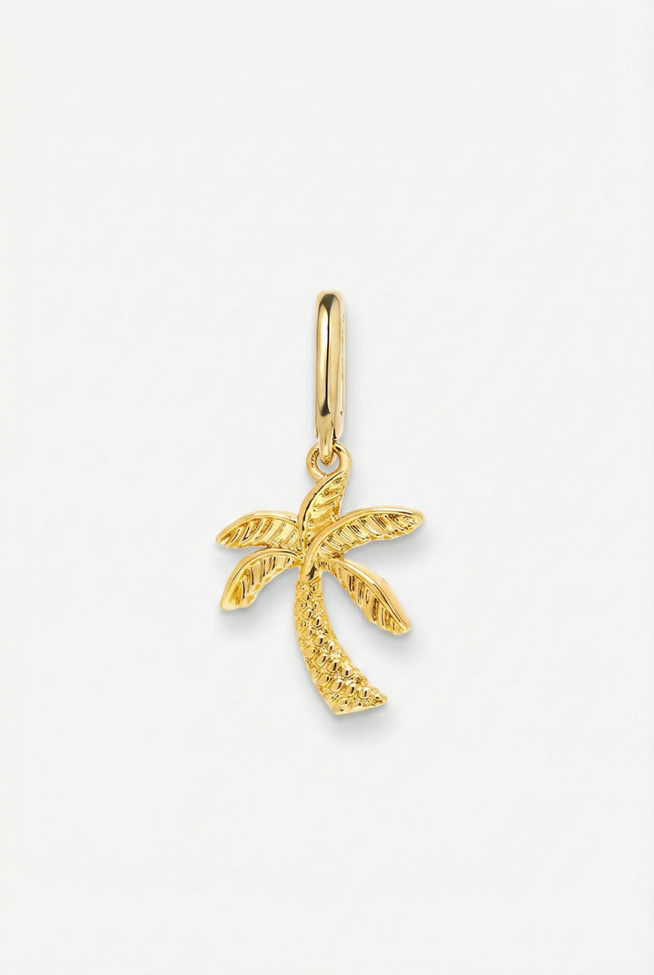 Palm State Charm