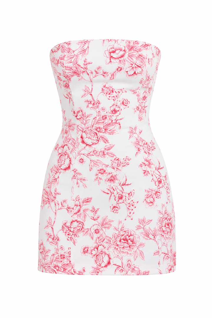 Toile Tube Mini Dress